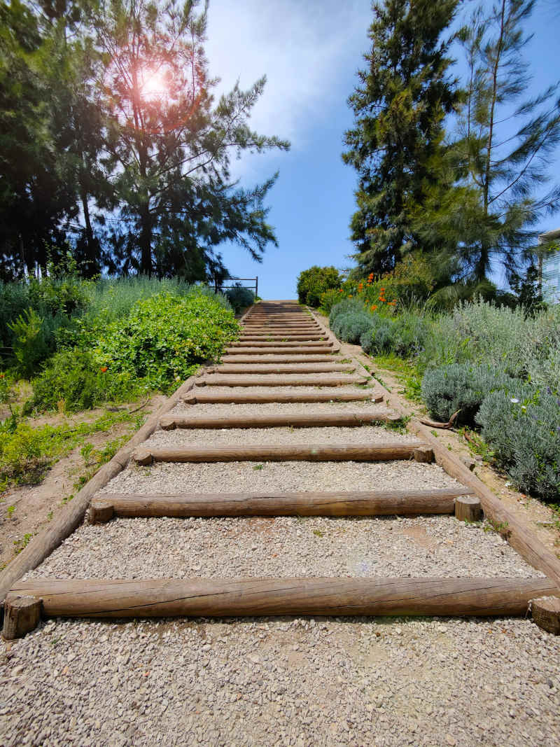 Eine sonnige Treppe einen bewaldeten Hang hinauf.